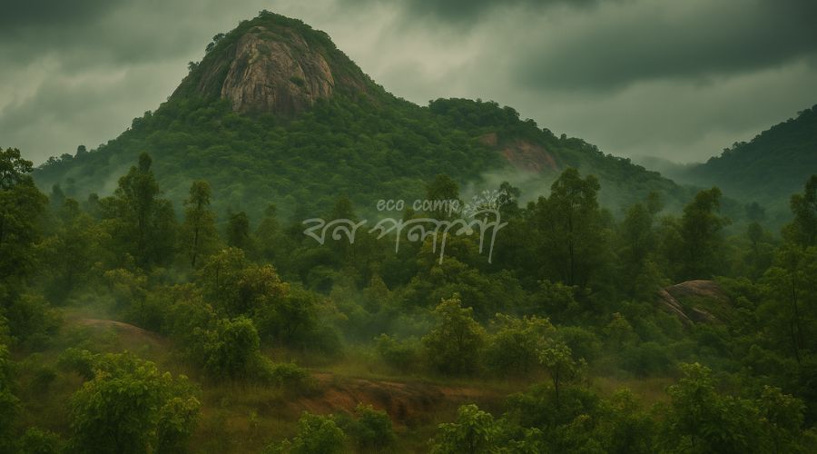 purulia-matha-forest-monsoon