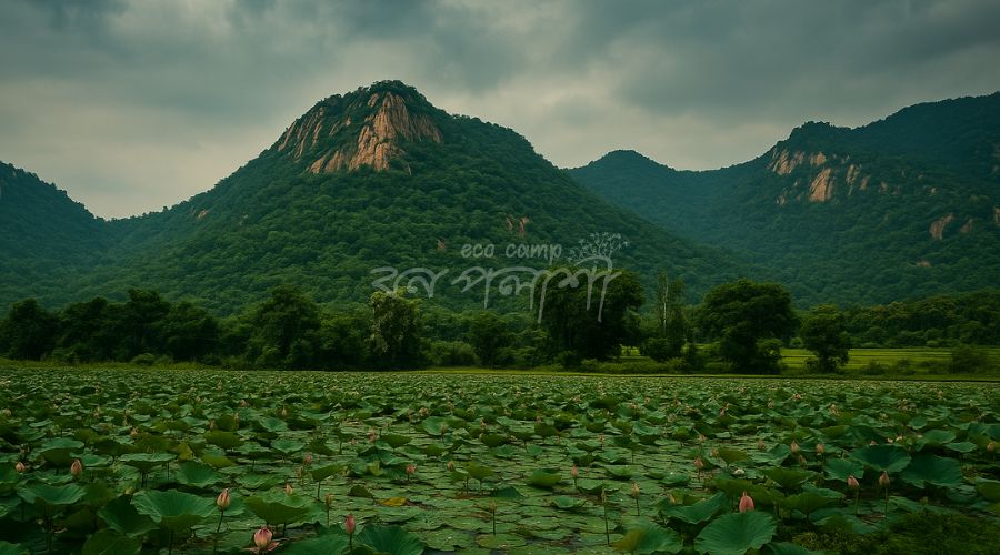 purulia-pakhi-pahar-in-monsoon